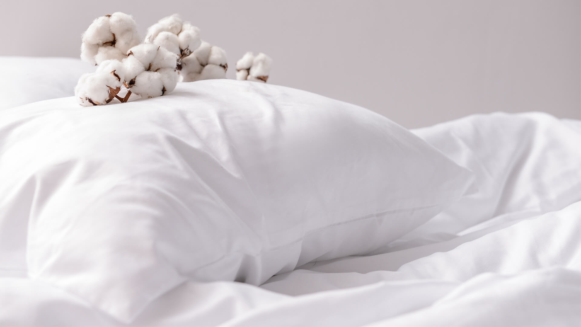 The Positive Effects of Organic Cotton Bedding on Sleep - GHP News